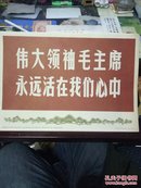 伟大领袖毛主席永远活在我们心中（8开64张一套）新闻展览照片农村普及版