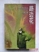 《路边花》长篇小说 漂亮的女记者丁洁被当众羞辱，报仇后浪迹德国，又遭色魔袭击，老医生冯.施博士救了她，并给了她家庭的温暖。可是，两人悬殊甚大，丁洁自重自强，历尽坎坷。