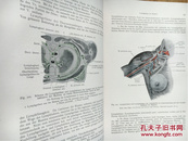 Lehrbuch der topographischen Anatomie fur Studierende und arzte. （解剖教科书）【德语 精装 1923年】