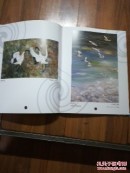 施哲三油画选集(生命的投影与回音)全二册(大16开精装本)