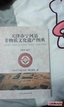 天津市宁河县非物质文化遗产图典