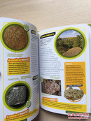 （意大利语）Rocce e minerali  岩石和矿物（32开软精装）