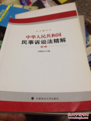 中华人民共和国民事诉讼法精解