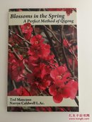 blossoms in the spring aperfect method of qigong