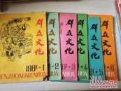 群众文化 （1981全年1-6期）