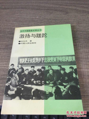 当代中国国是反思丛书：激扬与蹉跎