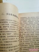 嵩山少林拳法
