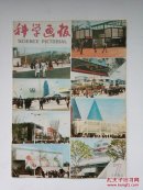 科学画报1985年第7期