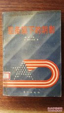 星条旗下的阴影：美国的社会事务与公共政策（覆膜软精装）