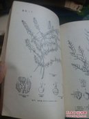 华东资源植物手册 馆藏16开 中山大学教授黄云晖藏 1958年一版一印  品相如图