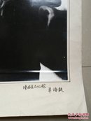 重庆照片 系列（参赛作品，大规格）：潼南县文化馆 羊海毅《憧憬》，如图（实物拍摄图片），