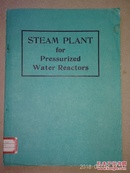 压水反应堆的蒸汽设备。