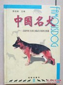 中国名犬:首届中国国际名犬展评会集锦:[图集]