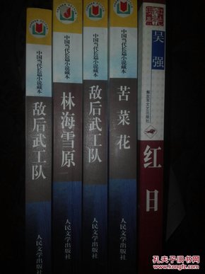 2005年度文化部财政部送书下乡工程 苦菜花