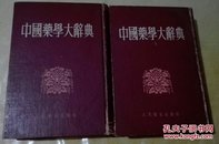 中国医学大辞典【上下册】