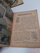 学科学 【1958年 第9期】