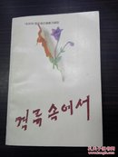 격류속에서   在激流之中 【朝鲜文】 多人集    87年1版1印