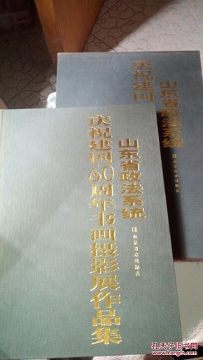 ！57  山东省政法系统庆祝建国60周年书画摄影展作品集    山东美术出版社  2010年一版一印