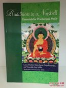 佛教精义：研究与实践 Buddhism in a Nutshell, Essentials for Practice and Study