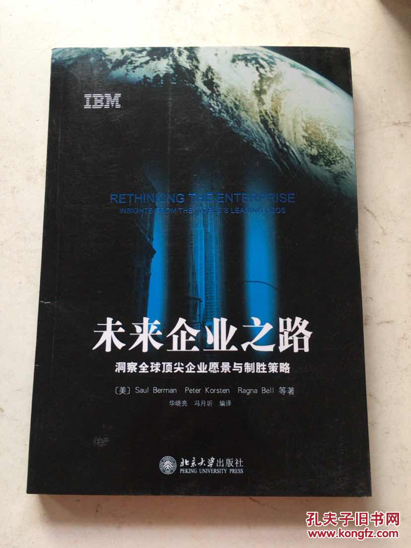 未来企业之路 : 洞察全球顶尖企业愿景与制胜策略 : insights from the world's leading CEOS