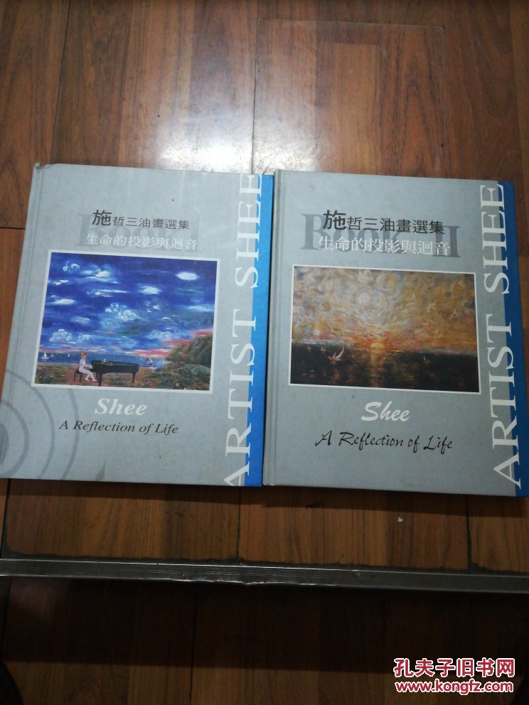 施哲三油画选集(生命的投影与回音)全二册(大16开精装本)