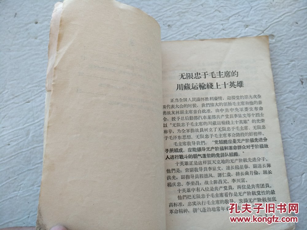 独有英雄驱虎豹（毛泽东思想哺育下的革命青年，第二辑）