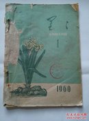 《星星》诗刊（诗歌月刊）1960年第1期 【封面非常漂亮】