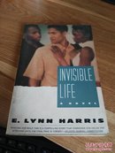 Invisible Life【隐藏的生活，by E. Lynn Harris，英文原版】    【4-7】