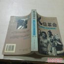 X级革命 美国“性解放”浪潮内幕纪实《一版一印》
