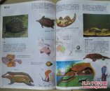 少年科学知识文库 ( 植物、动物、数学、宇宙与气象、昆虫 等5本合售)现货