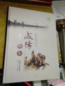 咸阳年鉴2016