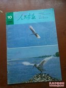 人民画报1981年第10期