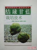 结球甘蓝栽培技术