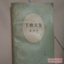 丁玲文集 第 四卷