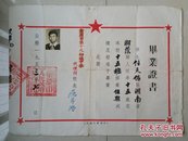 重庆 毕业证书 系列：1953年 重庆市第十九初级中学校《毕业证书》1张（学生  任天佑 15岁  照片 压钢印及红印） 盖有 校长   印章。