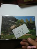 TP13 《妈祖传说》特种邮资明信片（全套6枚）5枚实寄片合售