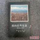 《我的皮肉生涯》