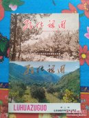 绿化祖国  （1  2  3  4）   成套的稀少  很好的资料书（3-5-2）