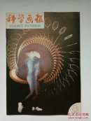 科学画报1985年第8期