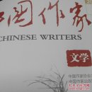 中国作家·文学2025年第3期