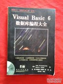 Visual Basic 6数据库编程大全 【无光盘】