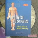 人体解剖彩色图谱
