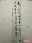 江西谢国山书法1
