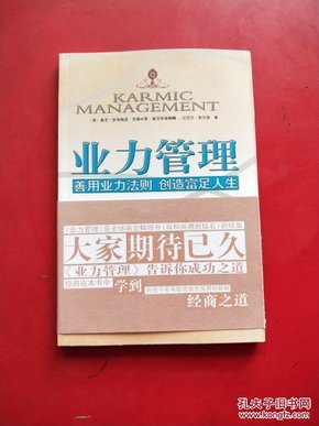 业力管理：善用业力法则 创造富足人生