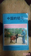 中国的矮马