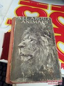 all about animals   精装  1934年印  品相如图  @59