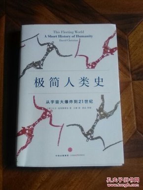 极简人类史：从宇宙大爆炸到21世纪