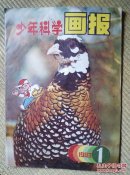 〖D541〗少年科学画报，第一集，16开