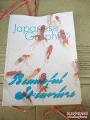 日本绘画的纹理和图案  原版书  布面装