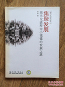 集聚发展:城市化进程中小城镇的发展之路:development gateway of small towns in the process of urbanization